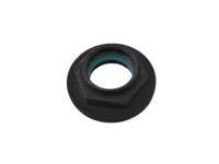 GM 24256278 Nut, Universal Joint Bearing And Flange, Front