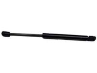 GM 15247598 Lift Cylinder, Rear