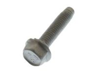 GM 11588725 Idler Pulley