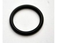 GM 55555984 Thermostat Housing Seal
