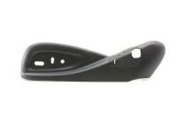 GM 95078124 Outer Finish Panel, Black