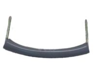 GM 15170313 Assist Strap