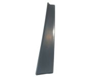 GM 15876983 Applique, Rear Driver Side