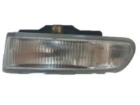 GM 10271052 Fog Lamp Assembly, Front Passenger Side