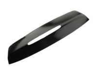 GM 19120563 Upper Molding, Rear