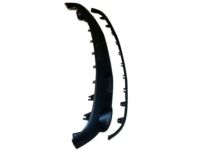 GM 22760505 Lower Extension, Black, Front