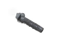 GM 11569613 Grip Handle Bolt