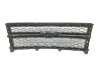 GM 23259620 Grille, Front