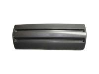 GM 22877652 Center Cover, Gray