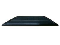 GM 15738682 Step Pad, Rear