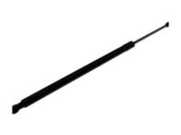 GM 22745513 Lift Cylinder, Passenger Side