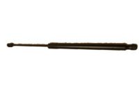 GM 84298334 Lift Cylinder, Driver Side