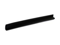 GM 25824824 Lower Molding, Front Driver Side