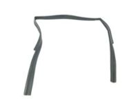 GM 84462124 Run Weatherstrip, Rear Driver Side