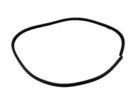 Chevrolet Classic Weather Strip - 22623348 Door Weatherstrip
