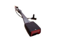 GM 19300222 Buckle, Black, Driver Side