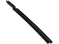 GM 10338840 Rub Strip, Driver Side, Rubber