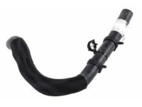 GM 84214922 Hose, Heater