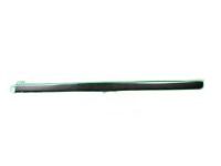 GM 19259495 Side Molding, Front Center Passenger Side