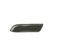 GM 25832914 Rail Cover, Passenger Side