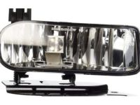 GM 15252038 Fog Lamp Assembly, Front Driver Side