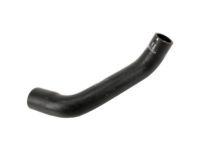 GM 10359363 Lower Hose