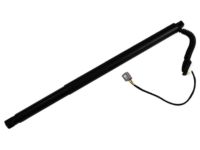 GM 84306929 Lift Cylinder, Driver Side