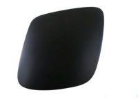 GM 10319954 Headlamp Door, Driver Side