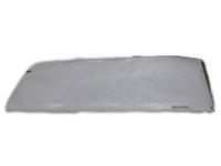 GM 92232022 Protector