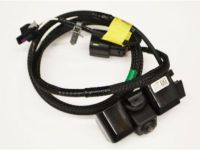 GM 84062896 Rear Camera, Driver Side