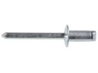 GM 11610383 End Cap Rivet