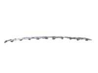 GM 94544842 Lower Molding