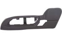 GM 25941769 Outer Finish Panel, Driver Side
