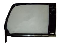 GM 20772079 Reveal Molding, Rear Passenger Side