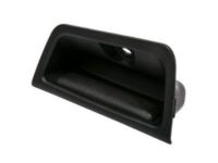 GM 15952900 Pull Handle