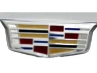 GM 22953467 Center Cap, Silver