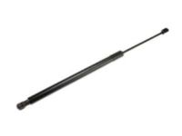 GM 84298336 Lift Cylinder, Driver Side
