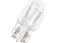 GM 13500813 Headlamp Bulb