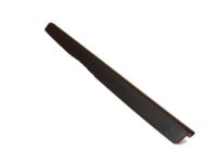 GM 25808206 Edge Molding, Black