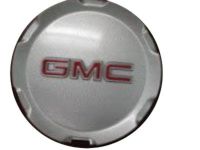 GM 9597973 Center Cap, Silver