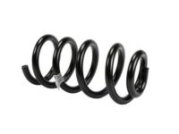 GM 25871196 Spring, Front