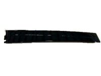 GM 21172099 Applique, Front Driver Side