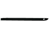 GM 22763054 Upper Molding, Outer Driver Side