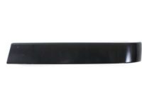GM 12335957 Molding, Front Driver Side