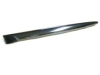 GM 22795509 Molding, Outer Passenger Side