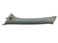 GM 10294524 Windshield Pillar Trim, Driver Side
