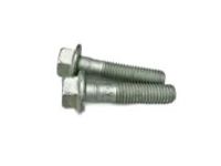 GM 11546469 Caliper Support Mount Bolt, Front