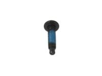 GM 11562052 Rail Support Bolt, Black; Silver