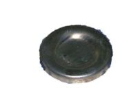 GM 10241154 Plug, Engine Camshaft & Balance Shaft Hole, Rear