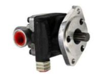 GM 15025029 Pump, Power Steering